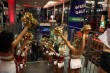Thumbs/tn_IMG_6176.jpg