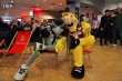 Thumbs/tn_IMG_6243.jpg