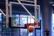 Thumbs/tn_IMG_2536.jpg