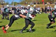 Thumbs/tn_IMG_6447.jpg