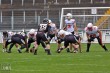 Thumbs/tn_IMG_8715.jpg