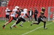 Thumbs/tn_IMG_8763.jpg