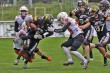 Thumbs/tn_IMG_8829.jpg