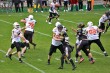 Thumbs/tn_IMG_8941.jpg
