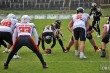 Thumbs/tn_IMG_9033.jpg