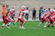 Thumbs/tn_IMG_1823.jpg