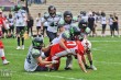 Thumbs/tn_IMG_1852.jpg