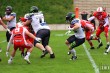 Thumbs/tn_IMG_1863.jpg
