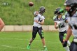 Thumbs/tn_IMG_1904.jpg