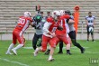 Thumbs/tn_IMG_1972.jpg