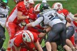 Thumbs/tn_IMG_2050.jpg