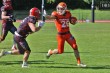 Thumbs/tn_IMG_3649.jpg