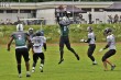 Thumbs/tn_IMG_1032.jpg