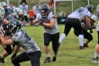 Thumbs/tn_IMG_1256.jpg
