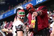 Thumbs/tn_IMG_3090.jpg