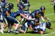 Thumbs/tn_IMG_5446.jpg
