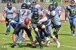 Thumbs/tn_IMG_5569.jpg