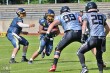 Thumbs/tn_IMG_5591.jpg