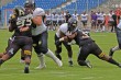 Thumbs/tn_IMG_6238.jpg