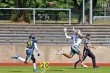 Thumbs/tn_IMG_7724.jpg