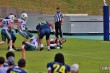 Thumbs/tn_IMG_7838.jpg