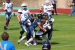 Thumbs/tn_IMG_7844.jpg