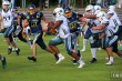 Thumbs/tn_IMG_8062.jpg