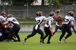 Thumbs/tn_IMG_8479.jpg