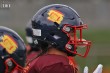 Thumbs/tn_IMG_8771.jpg